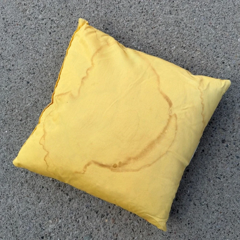 Vintage 1969 Playboy Phi Kappa Tau PKT Fraternity Throw Pillow Yellow Red 12x12